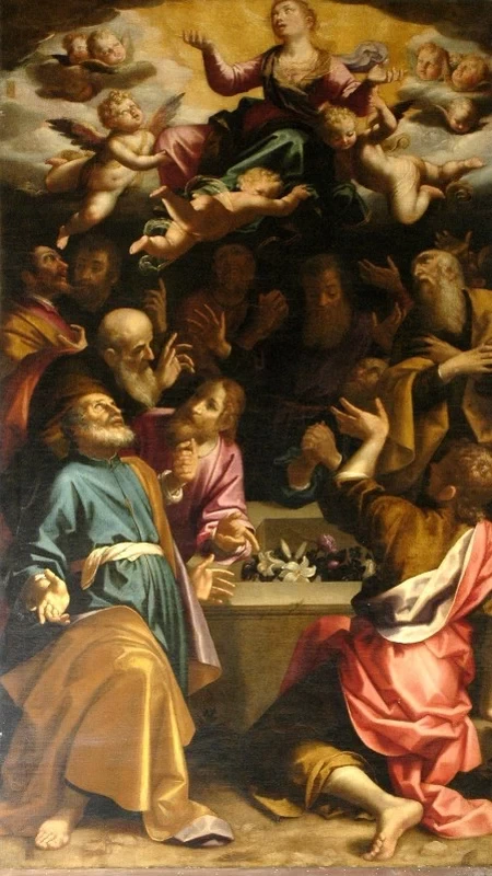 Aurelio Lomi - Maria assunta in Cielo, chiesa di Santa Maria di Castello, Genova